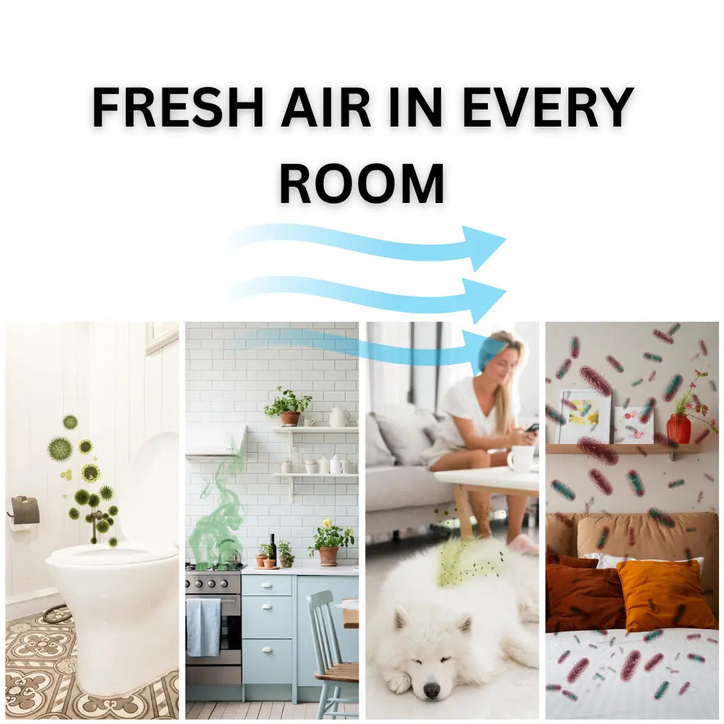 Airfect Purifier