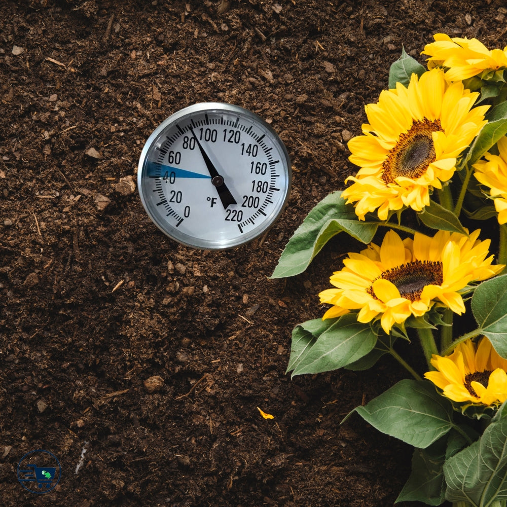 soil thermometer