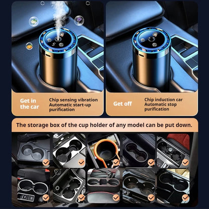 PuriDrive